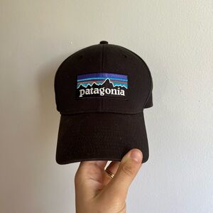 Patagonia Snap Back Logo Cap